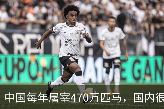 中国每年屠宰470万匹马，国内很少人吃，马肉都去哪了？