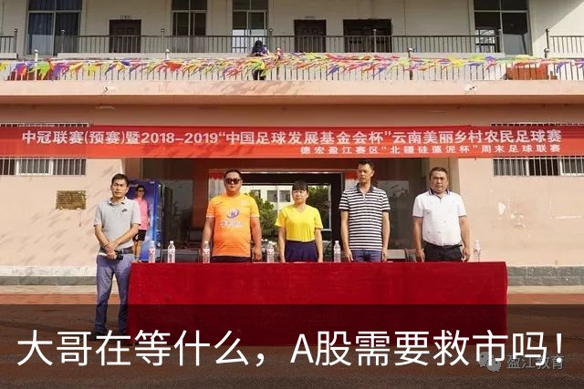 大哥在等什么，A股需要救市吗！
