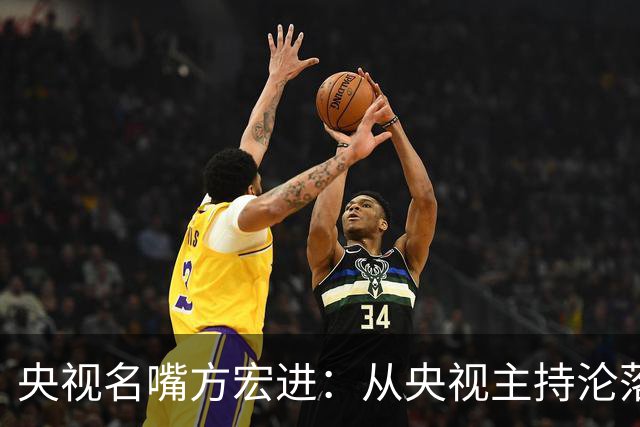 央视名嘴方宏进：从央视主持沦落到劳改犯，如今靠直播打赏讨生活
