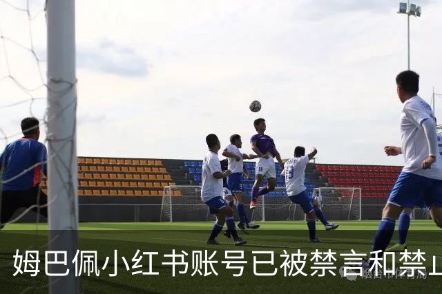 姆巴佩小红书账号已被禁言和禁止关注