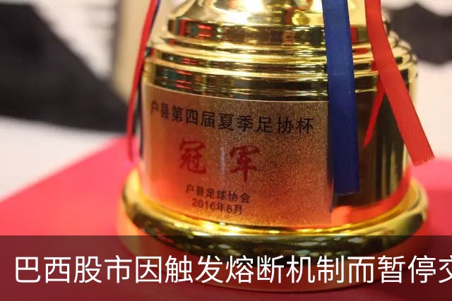 巴西股市因触发熔断机制而暂停交易