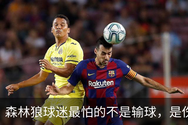 森林狼球迷最怕的不是输球，是伤病：一次投票投出了真心话
