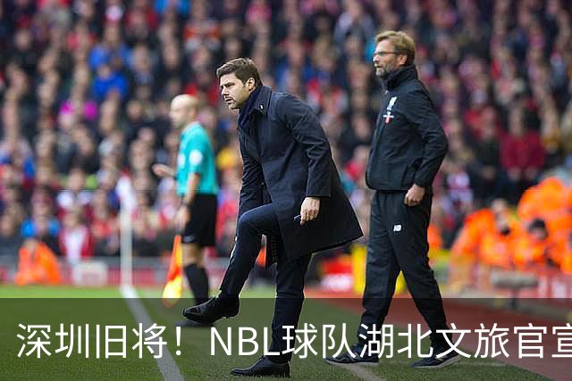 深圳旧将！NBL球队湖北文旅官宣签下前CBA球员杨林祎