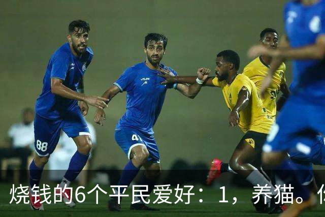 烧钱的6个平民爱好：1，养猫。你以为养的是猫…