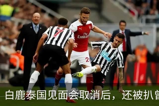 白鹿泰国见面会取消后，还被扒曾为缅北拍宣传片，知情人爆料更多