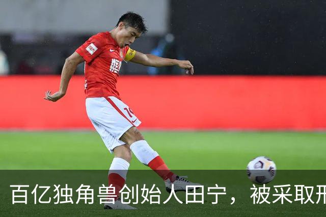 百亿独角兽创始人田宁，被采取刑事强制措施！他浙大毕业创办盘石，曾和阿里妈妈、百度联盟并称“网站联盟三巨头”，公司股东明星机构云集